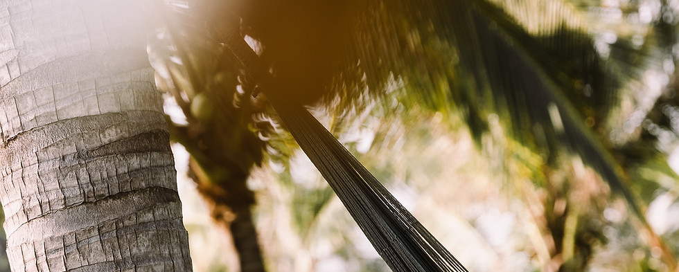 Image by Gabrielle Maurer