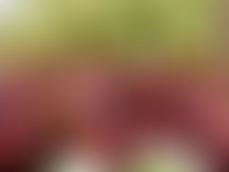 A variety of fresh red and green apples, rich in polyphenols, on display at a market.