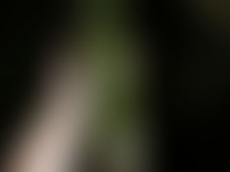 Stalk a Professional Life