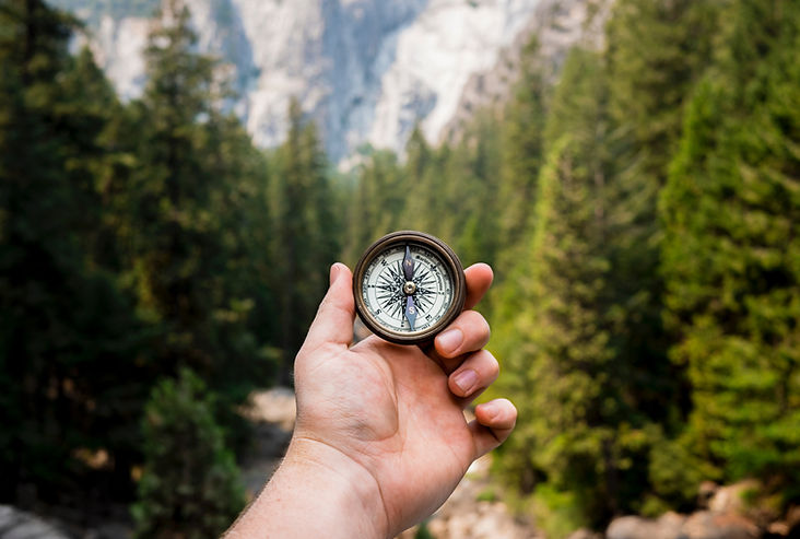 A hand holding a vintage compass pointing toward a lush green forest path, symbolizing a guided journey toward holistic health with Two Sisters Homeopathy, LLC.