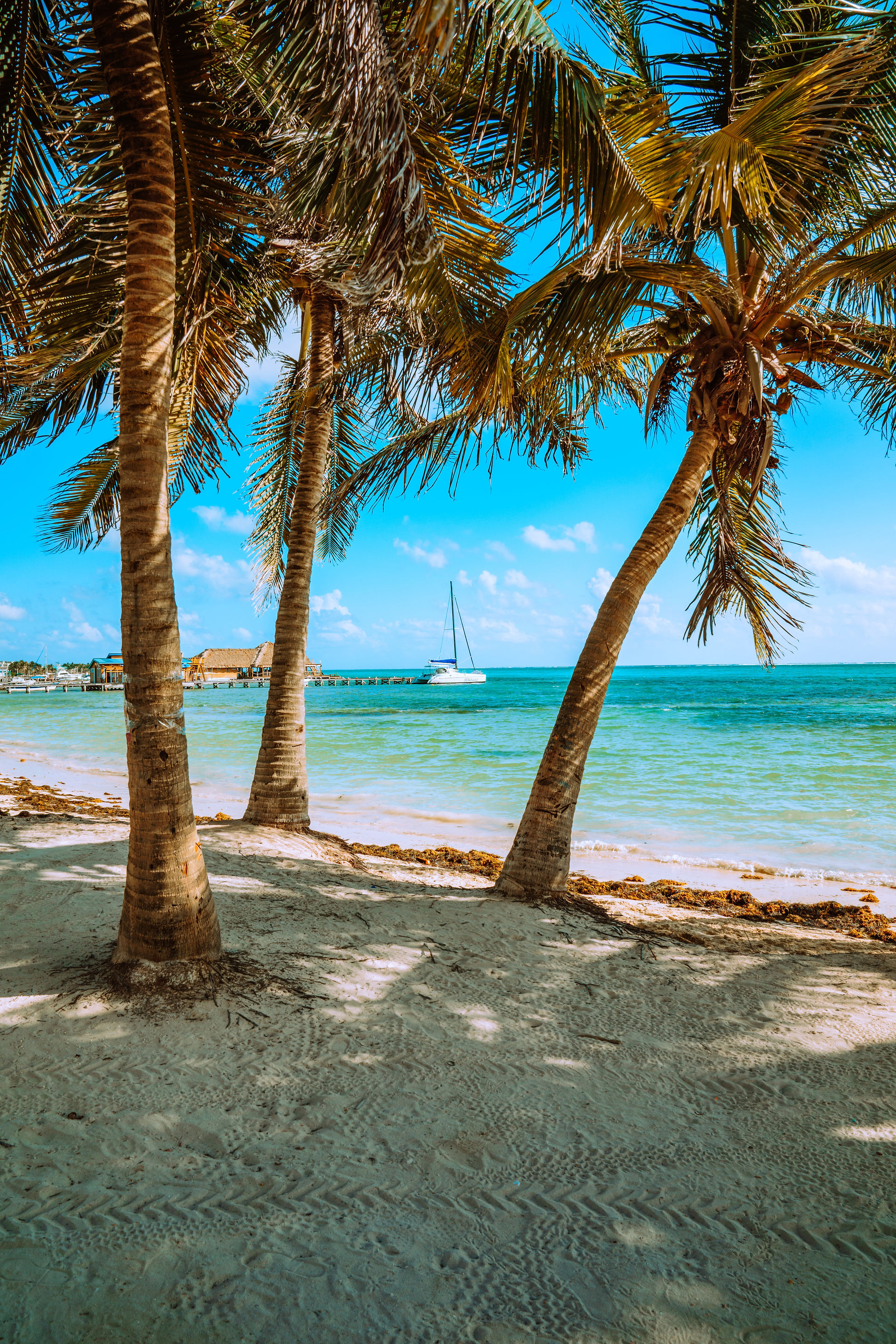 Explore Belize