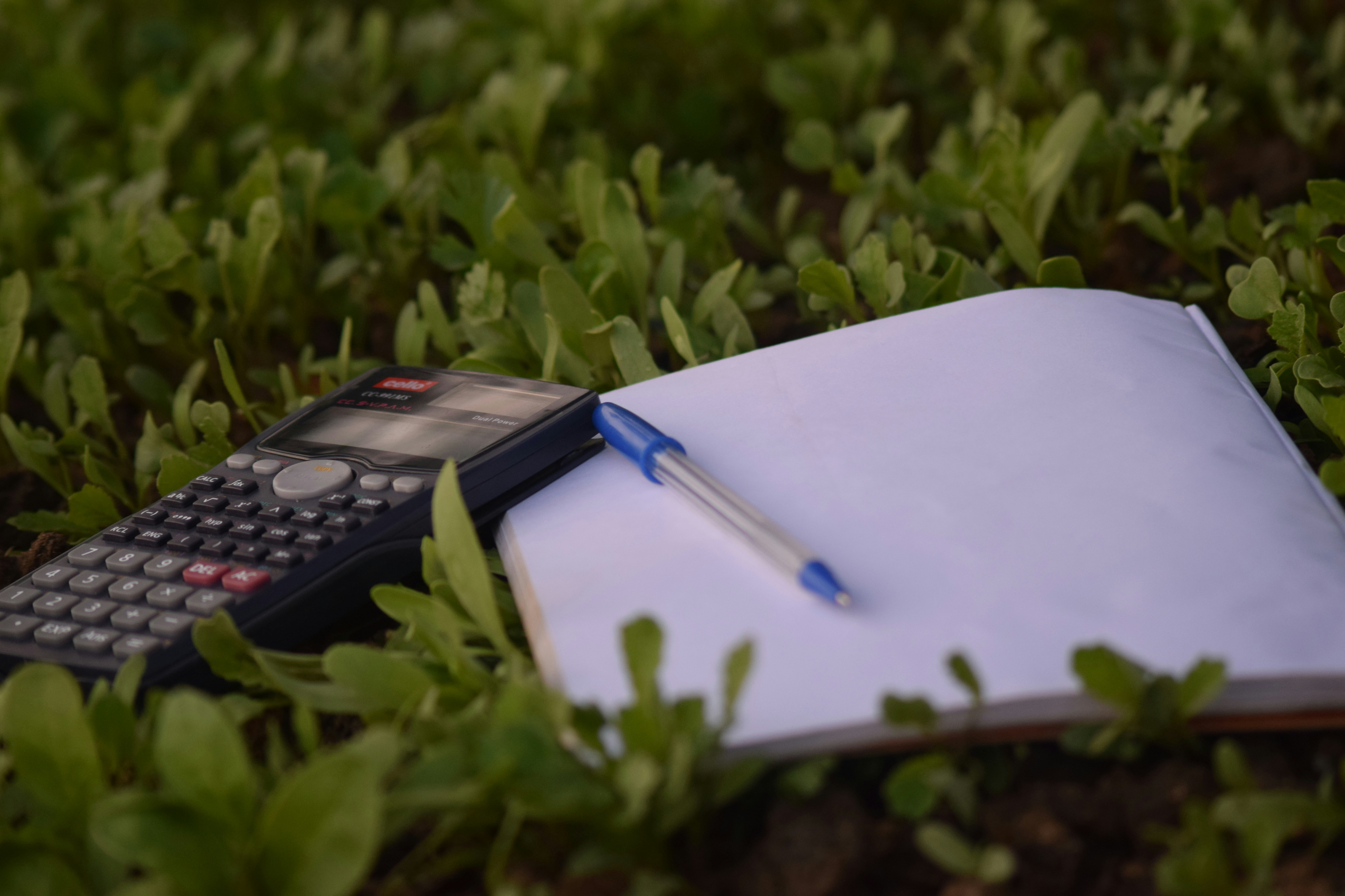 Budgeting Basics