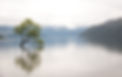 Image by Tom King