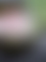 Unlocking the Secrets of Mindful Living and Its Transformative Power