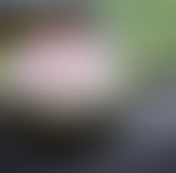 Plot Twist, But Still Standing