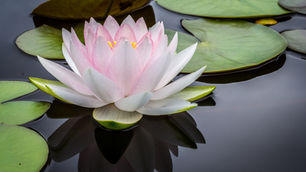 Plot Twist, But Still Standing