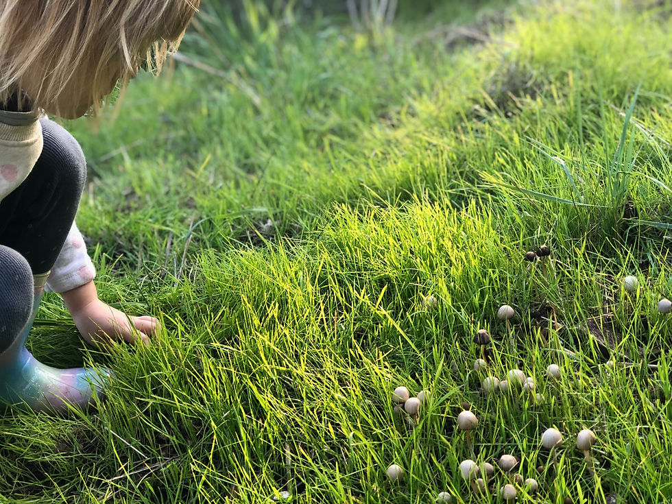 Child crouching in grass, quietly observing small mushrooms in a gentle moment of curiosity and wonder