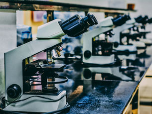 £50 Million Government Fund Opens to Drive Transformational Life Sciences R&D Across the UK
