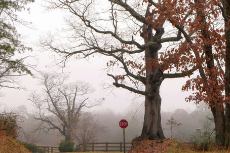 Wintering For Growth, Christian Suffering Part 5