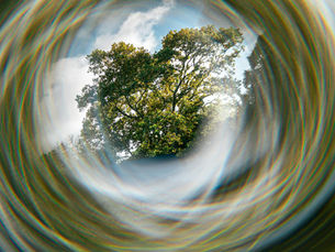 Real Opportunities in Circular Economy