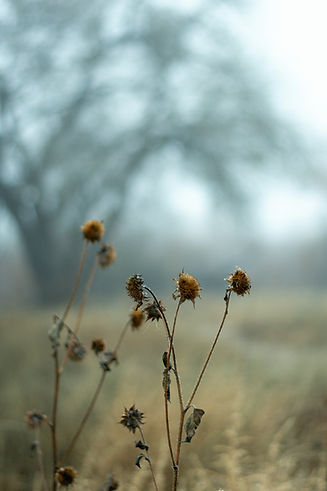Image by Scott Elkins