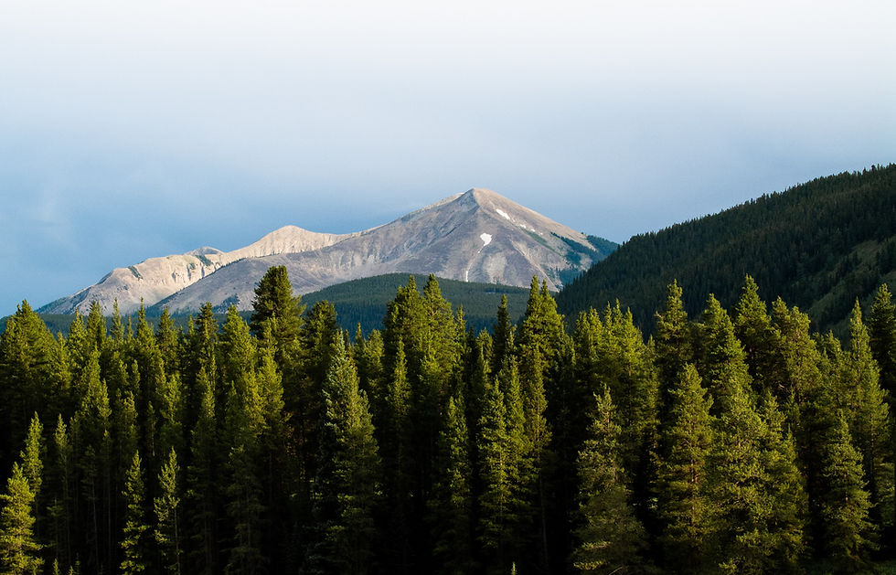 Image by Caleb Kastein