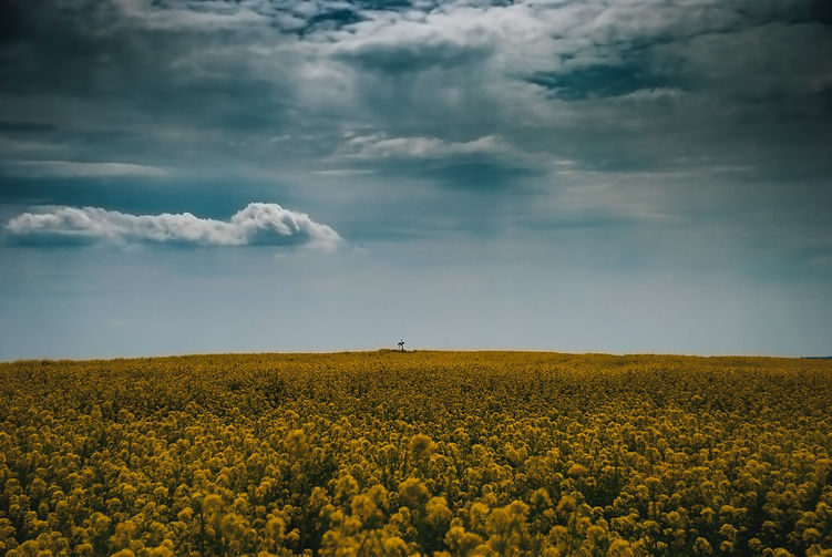 Image by Denes Kozma