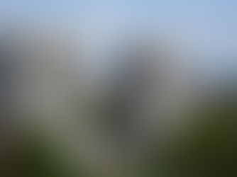 Why do I need a block management company?