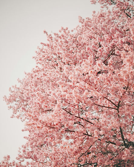 Image by Aaron Burden