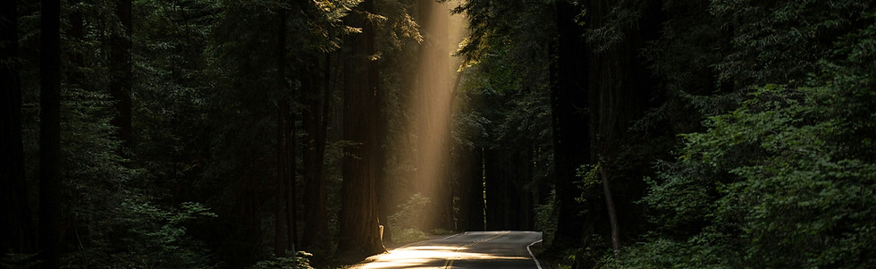 Image by JOHN TOWNER