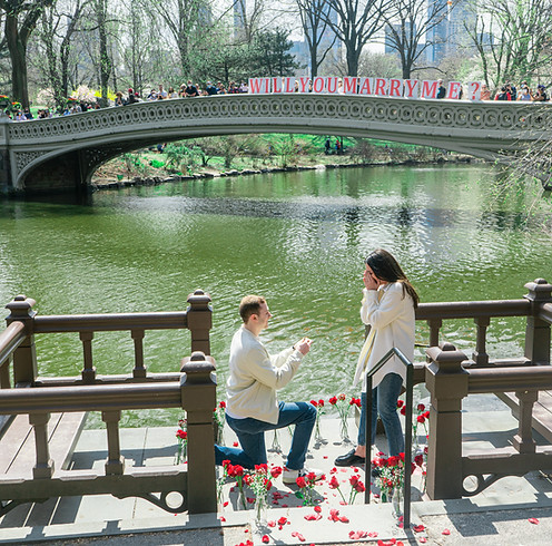 Image by Dylan Sauerwein