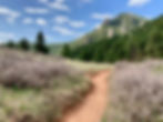 Dirt path through grassy field with dry bushes leads to green forest and mountains beneath a blue sky with scattered clouds.