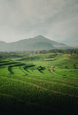 Image by ardito ryan Harrisna