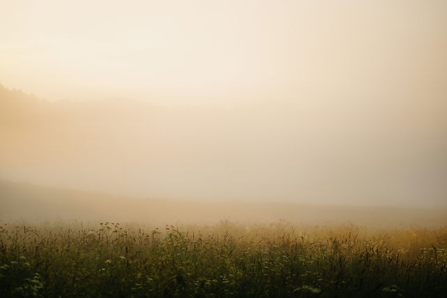 Image by Kristaps Ungurs