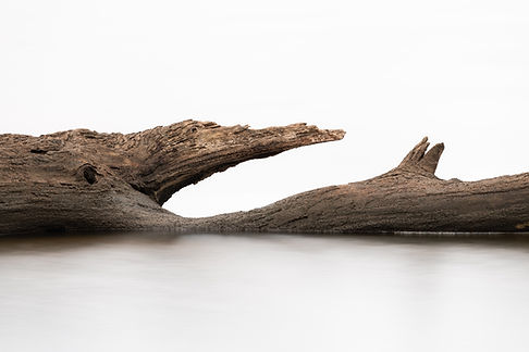 Image de Dave Hoefler