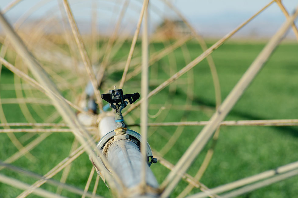 Best practices for irrigation needs of your farm