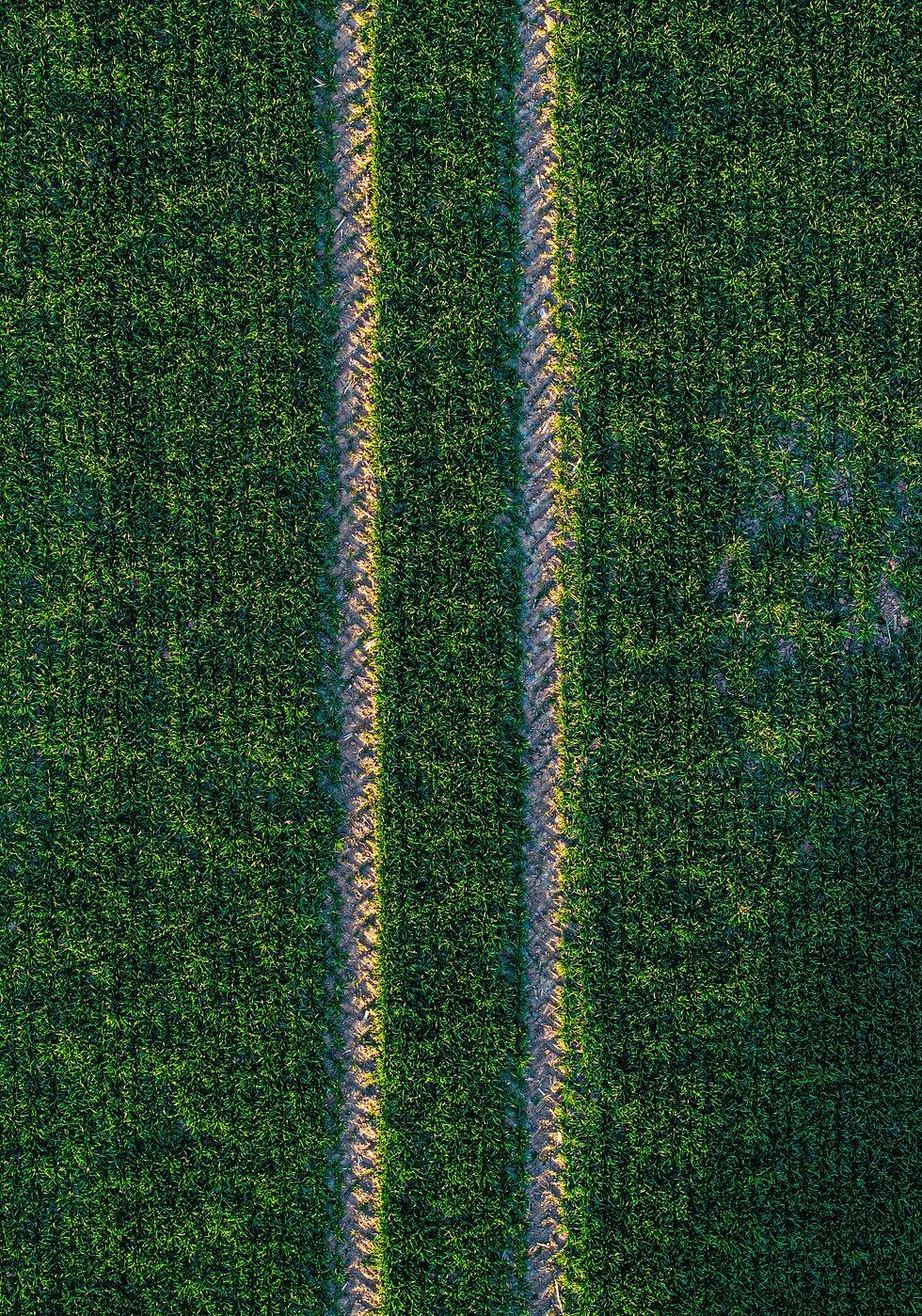 Image by Bernd 📷 Dittrich