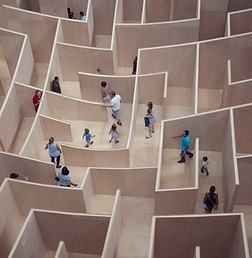 Image by Susan Q Yin