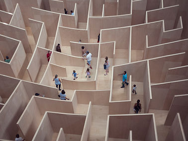 Image by Susan Q Yin