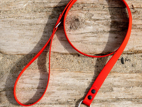 Essential Guide to Preparedness for Emergencies