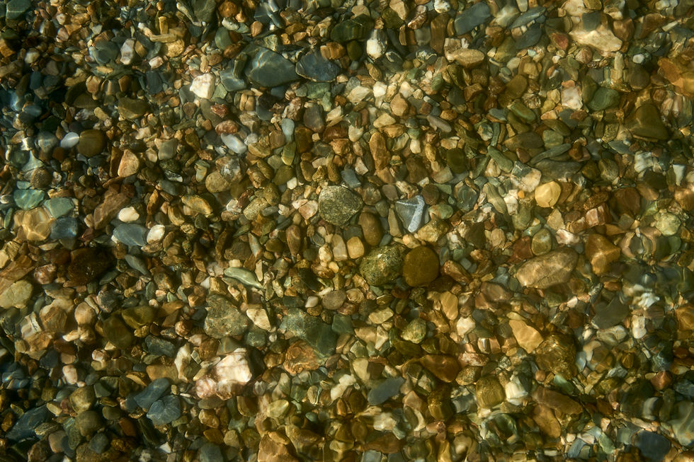 Gold Panning in Dahlonega: A Cabin Guest's Guide to North Georgia's Gold Rush Heritage and Where to Find Your Own