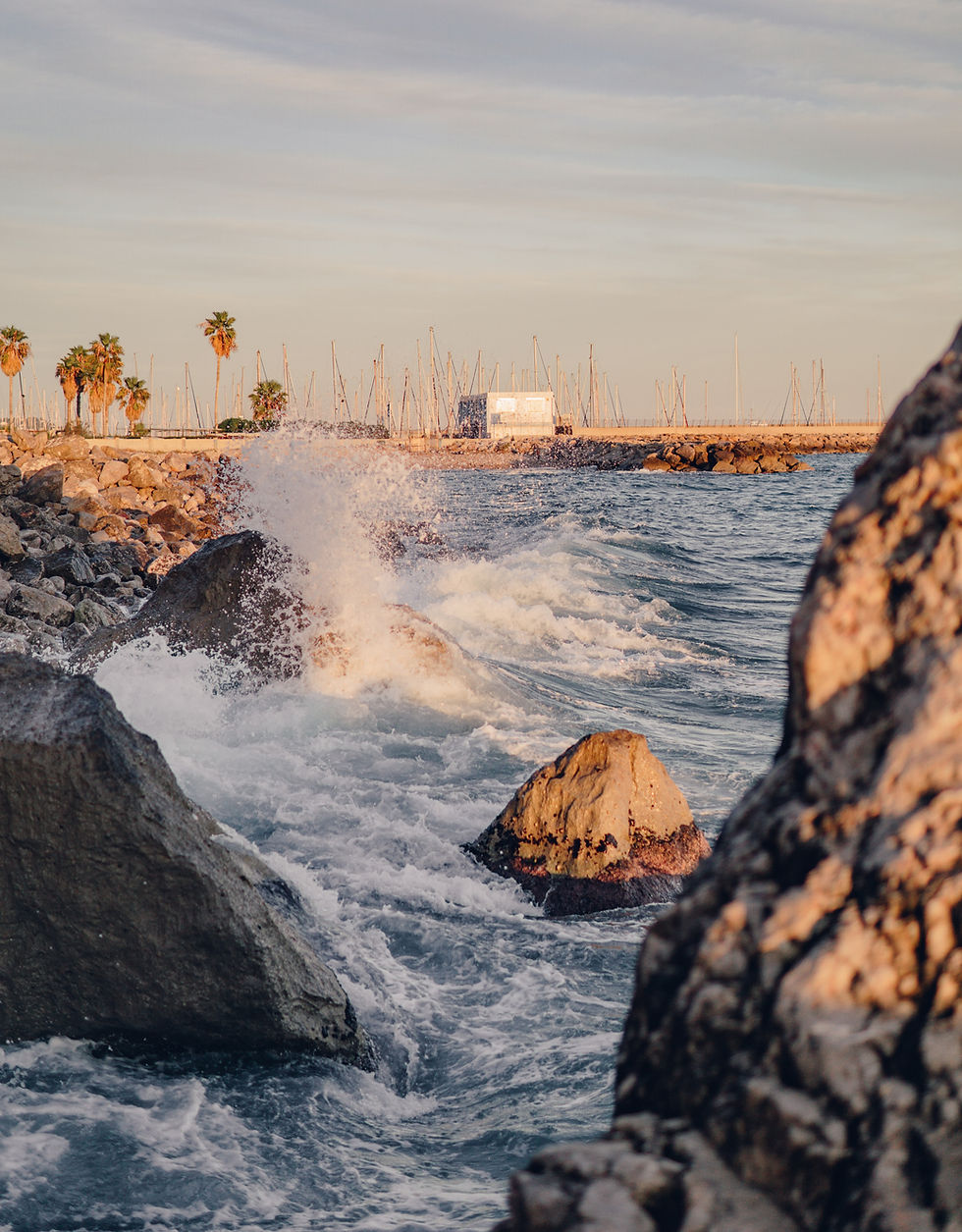 Image by Mason Dahl