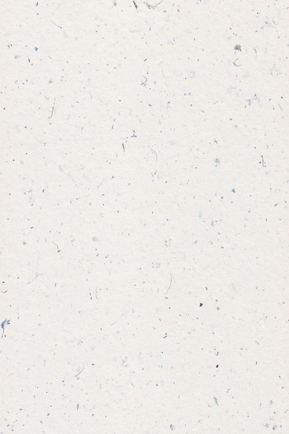 Image by Sélina Farzaei