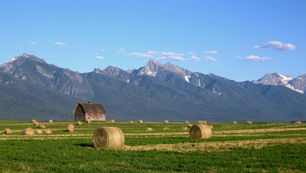 Round hay bales in a green field with a barn and mountains