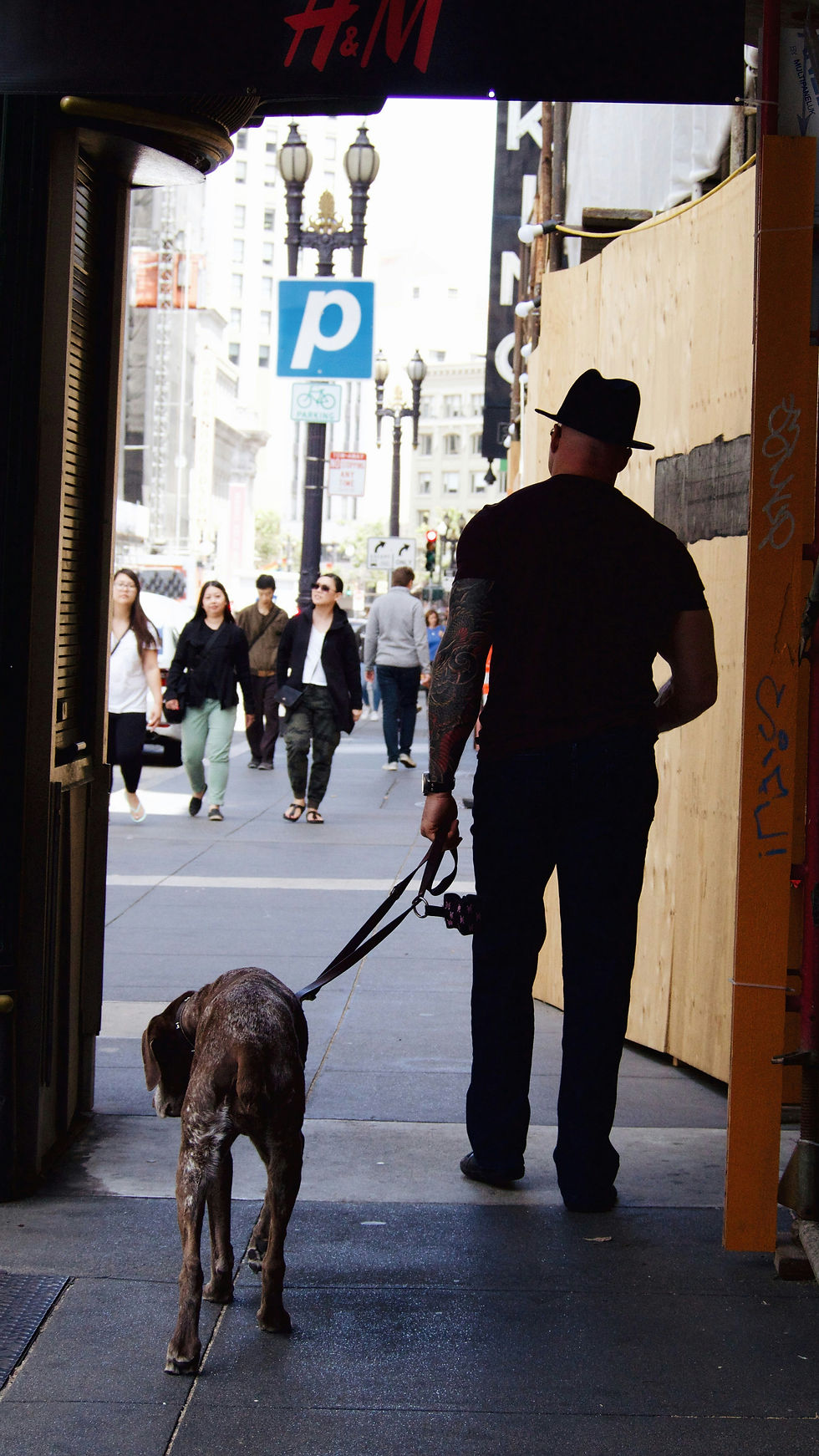 busy professional walking his dog before work