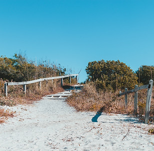 Image by Samuel Branch