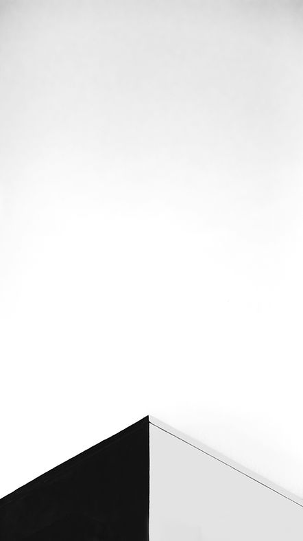 Image by Xavier Cee