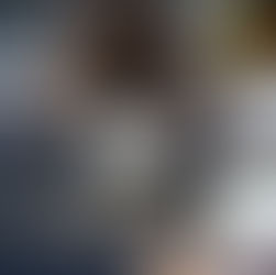 The Importance of Bible Study in the Life of a Believer