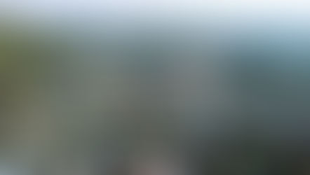 Farm to classroom feeding proves local food systems can deliver fair growth