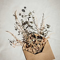Image de Jess moe