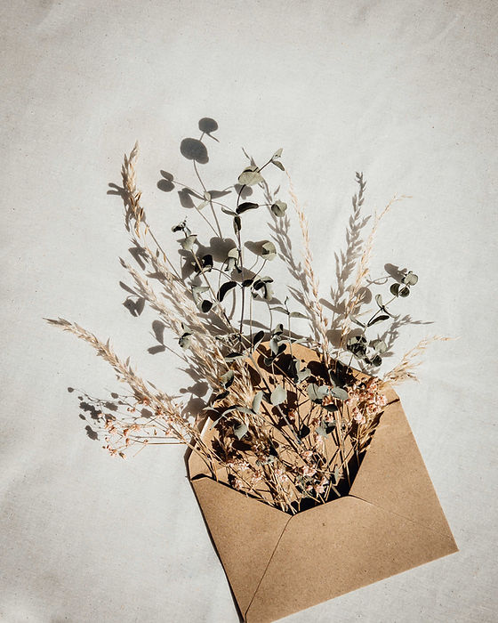 Image by Jess moe