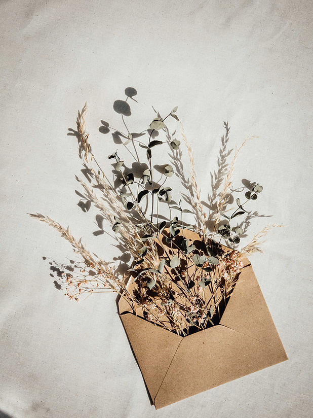 Image by Jess moe