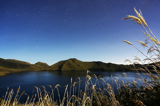 Image by Julio Sandoval
