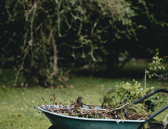 Image by Annie Spratt