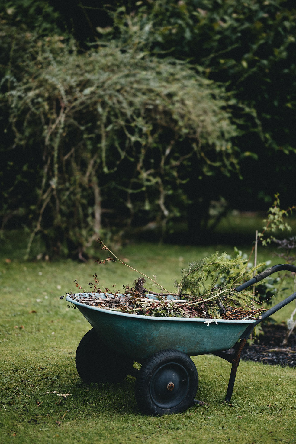 Image by Annie Spratt