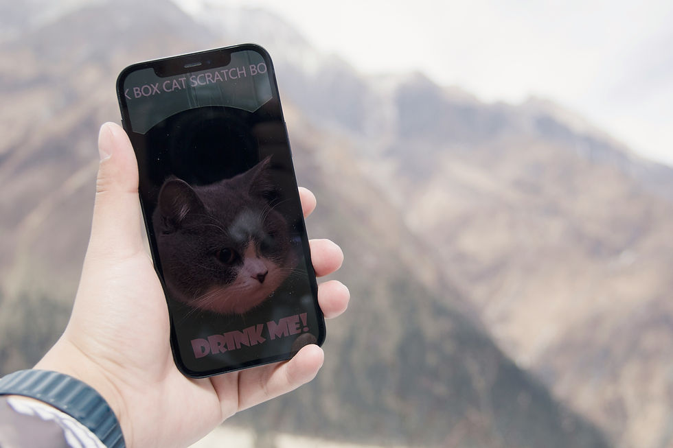 Hand holding smartphone with cat image and "DRINK ME!" text on screen. Blurred mountain landscape in the background.