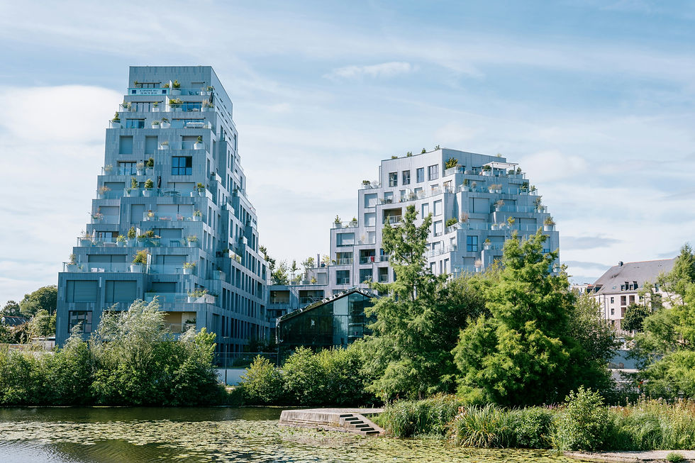 LE TRIBUNAL ET LES REQUERANTS S’ENGOUFFRENT DANS LA FAILLE : LE PROJET D’IMMEUBLE ILLEGAL.