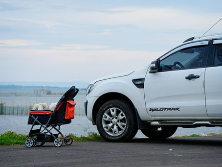 What Car Fits Me - Baby-Friendly Cars: How to Choose the Right One