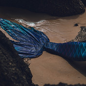 Image by Aleksandra B.