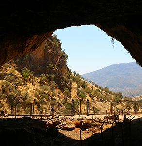 Image by Aleksander Stypczynski